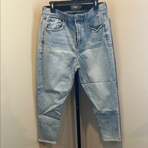 Torrid Classic Blue Denim Jeans